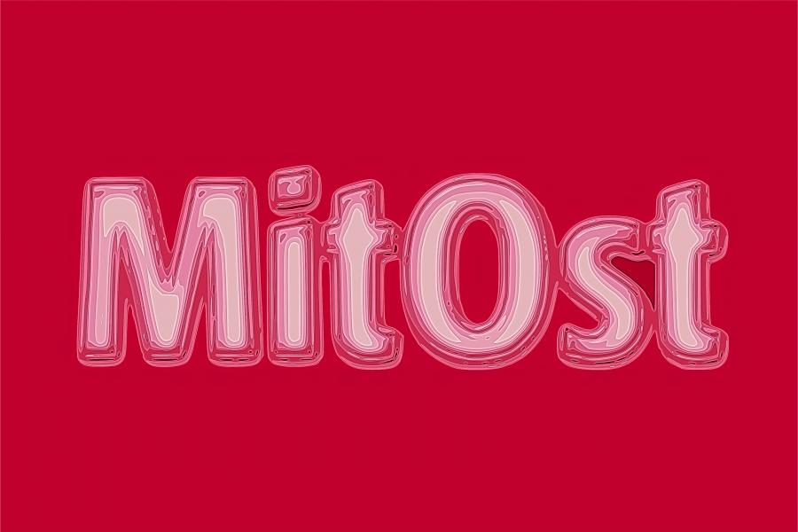 В ЧДТУ підписано договір про співпрацю з фірмою „MitOst“