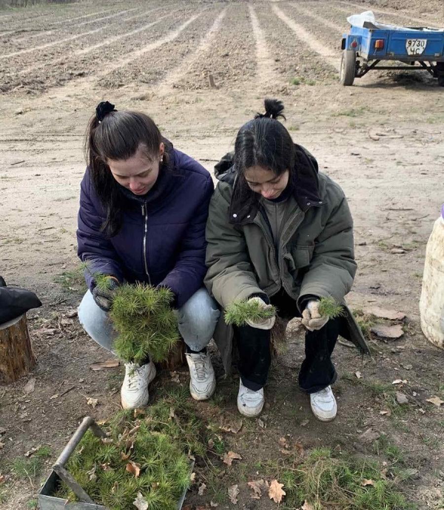 Студенти спеціальності «Лісове господарство» ЧДТУ в межах впровадження елементів дуальної освіти в умовах воєнного стану активно долучаються до цьогорічної лісокультурної кампанії