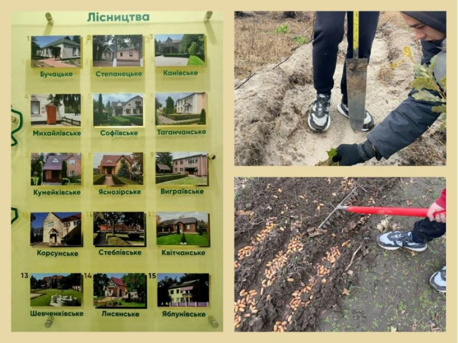 Студенти спеціальності «Лісове господарство» ЧДТУ проходять дуальне навчання на підприємствах регіону