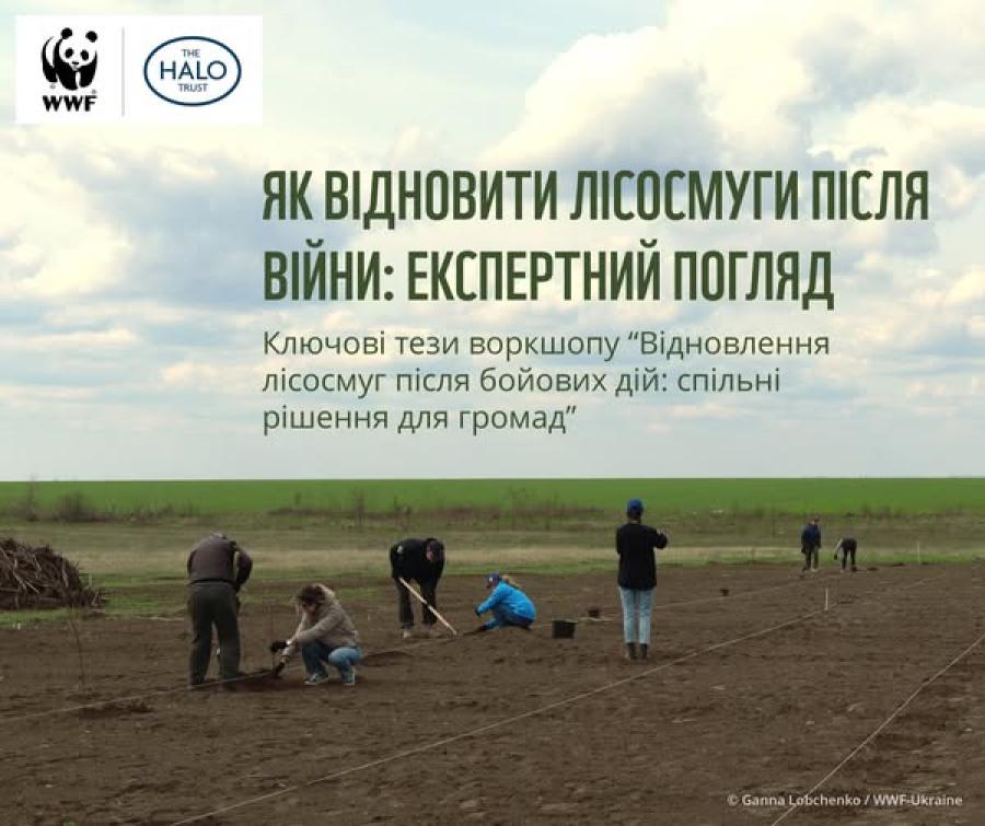 Кафедра лісового господарства та раціонального природокористування ЧДТУ долучилася до воркшопу «Відновлення лісосмуг після бойових дій: спільні рішення для громад»